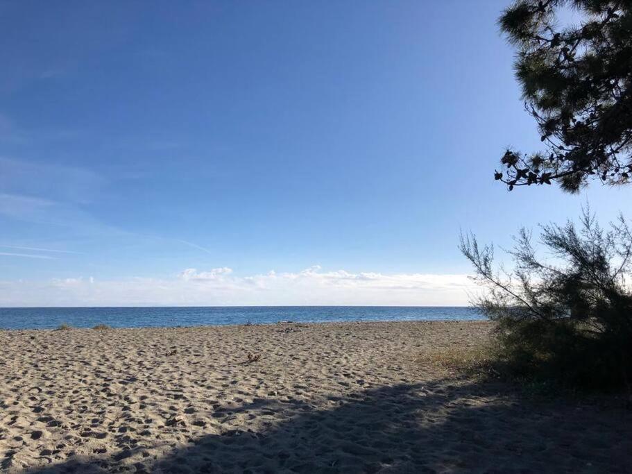 2025 - Grand Avec Piscine Et A 50 M * San-Nicolao